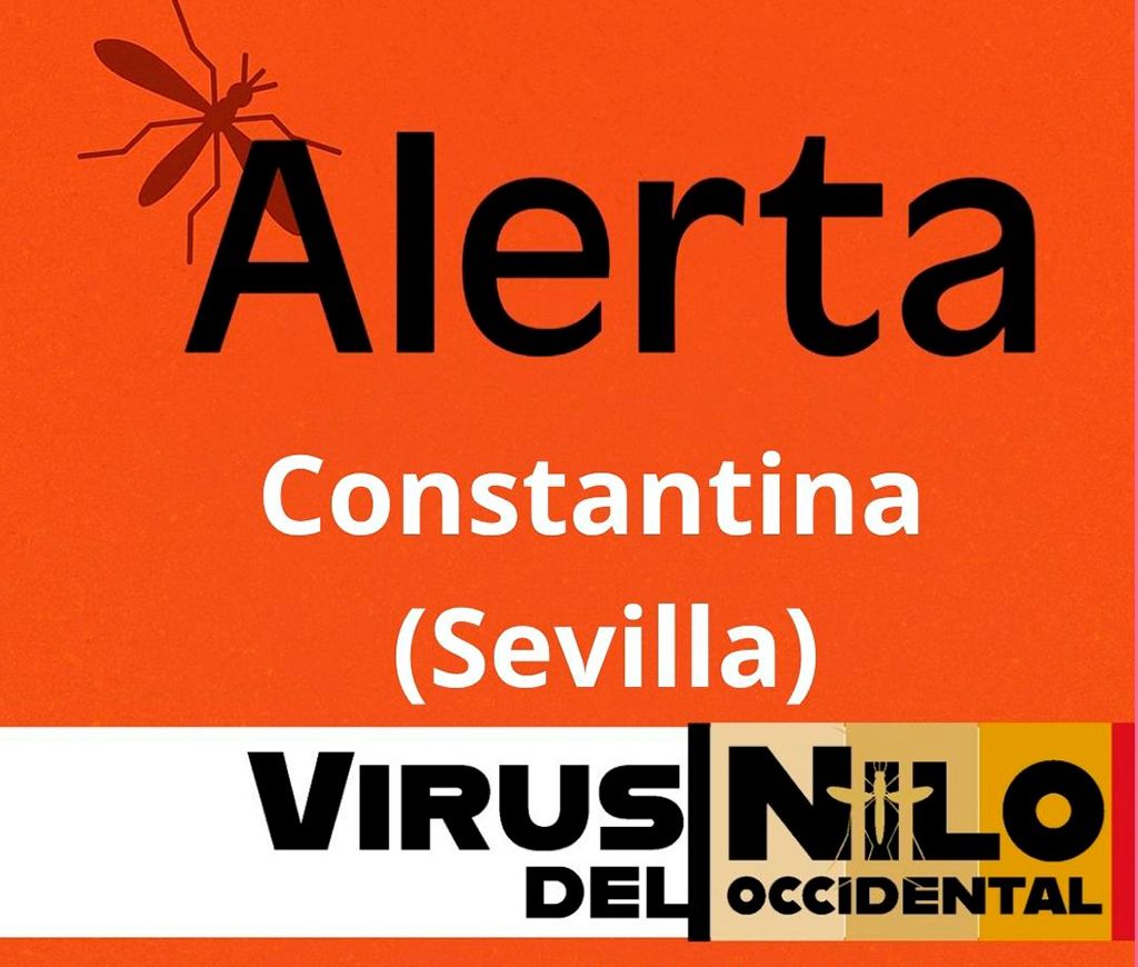 Sanidad declara área en alerta por virus del Nilo occidental el municipio sevillano de Constantina 