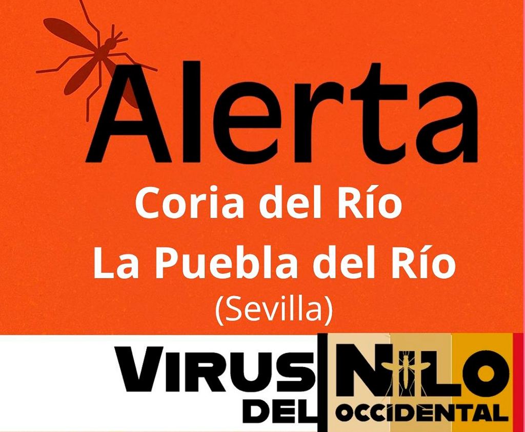 Sanidad declara área en alerta por virus del Nilo occidental los municipios sevillanos de La Puebla del Río y Coria del Río