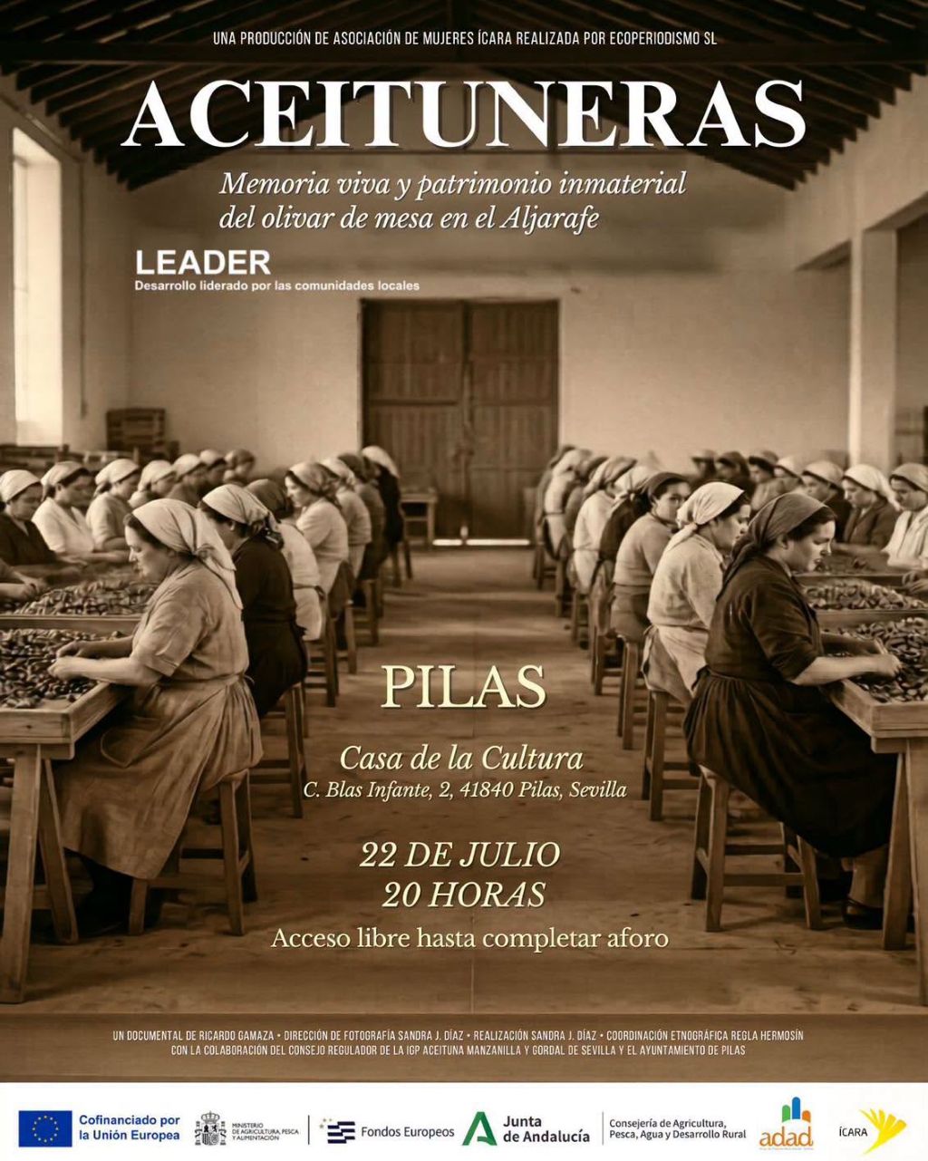 Pilas estrenará el documental Aceituneras, un homenaje a la memoria y el legado de las mujeres rurales del Aljarafe