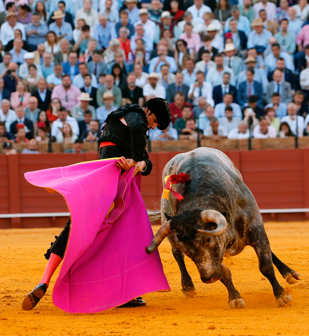 Emilio de Justo corta dos orejas, una en cada toro, a una interesante corrida de La Quinta, que tuvo hasta un toro de vuelta al ruedo