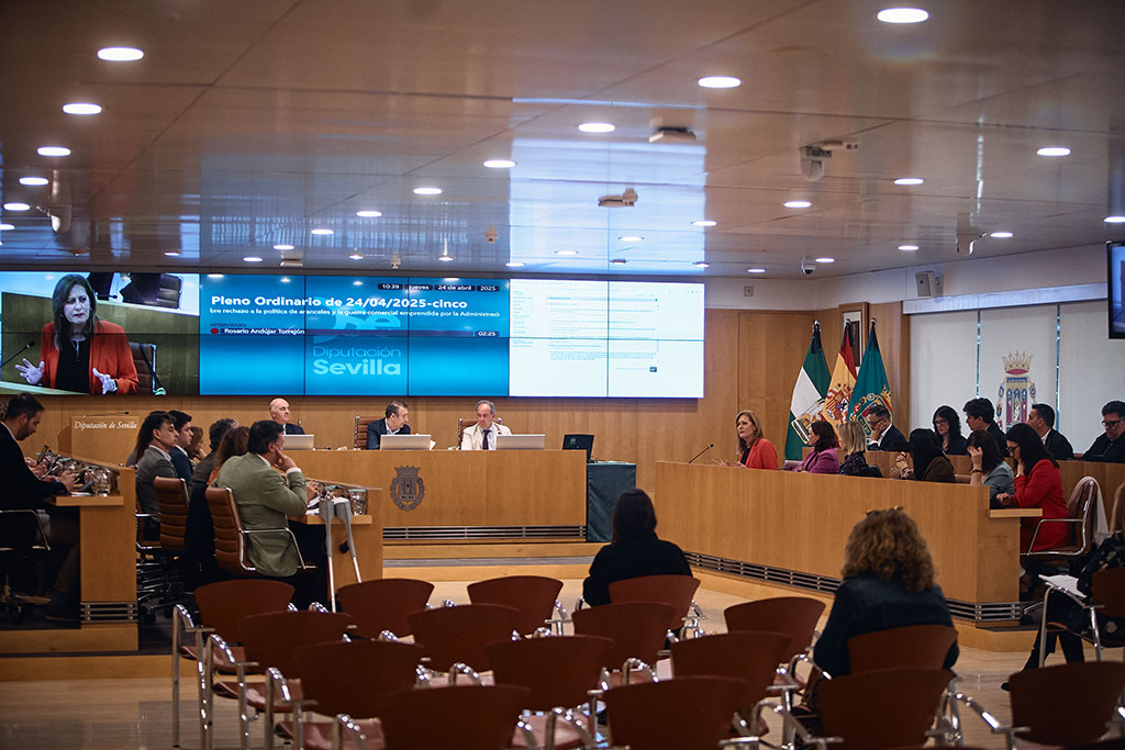Compromiso en la Diputación con los derechos de las personas discapacitadas y con el avance de la seguridad y salud laboral
